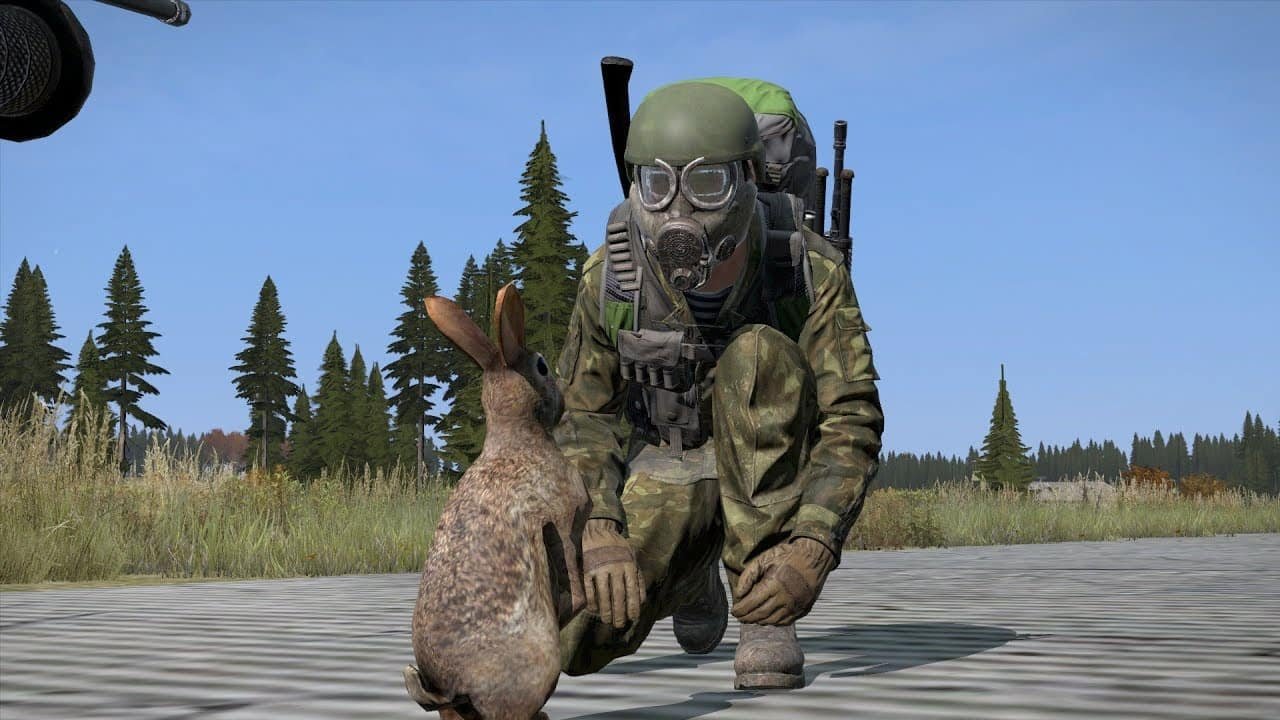 DayZ for Beginners