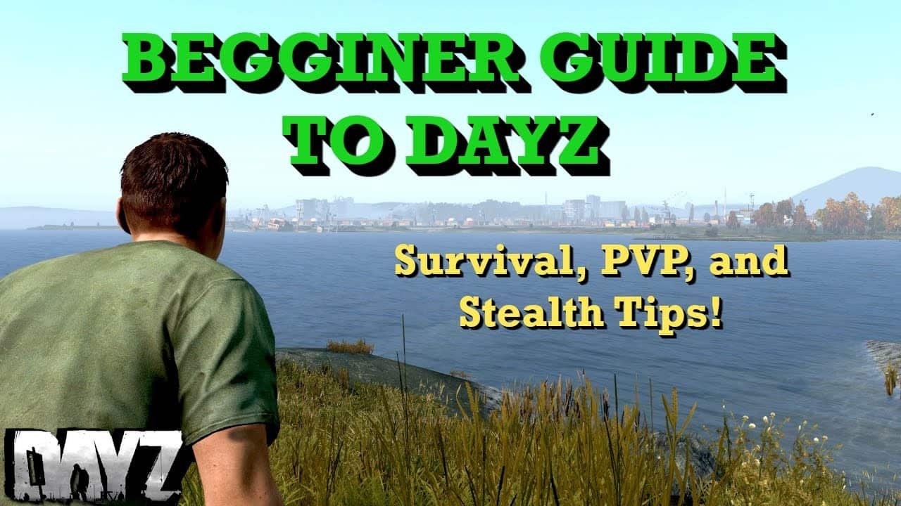 DayZ for Beginners