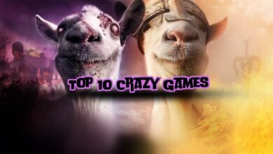 Top 10 Crazy Games 