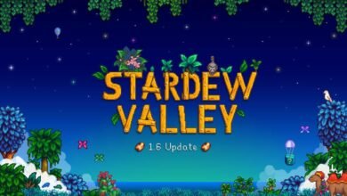 Stardew Valley 1.6 Switch