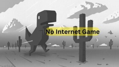 No Internet Game