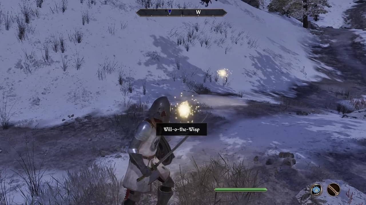 How to Kill Willowisp in Oblivion
