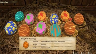 Monster Hunter Stories Eggs